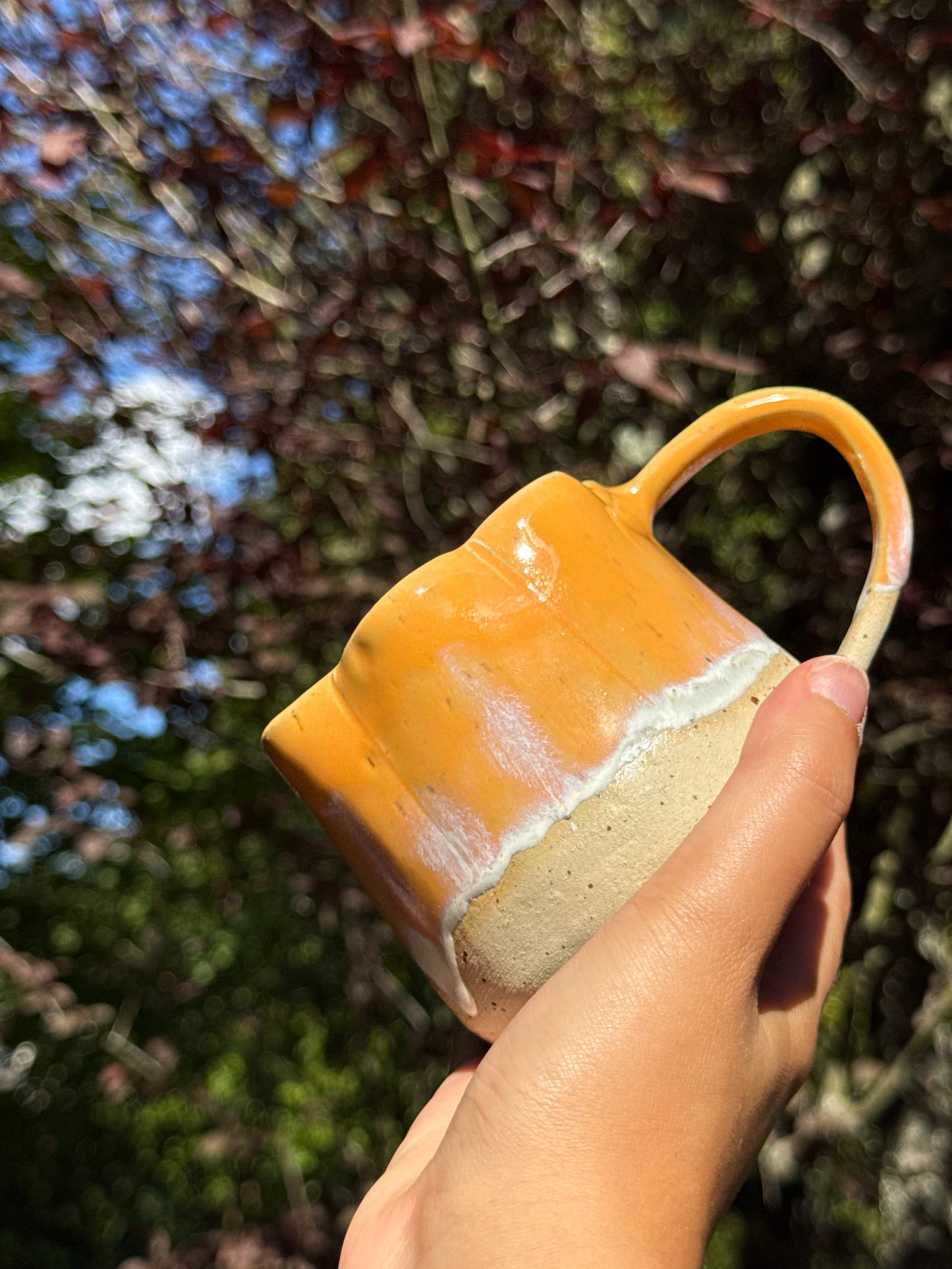 Précommandes - Tasse citrouille